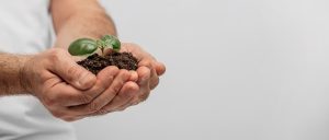 Aprende a ser más sostenible a través de tus hábitos alimentarios